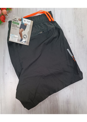 Мужские шорты спортивные Crivit (359854434)