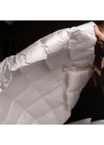 Одеяло пуховое Luxury Exclusive 079 деми 220x240 см (m236222) Mirson пухова Luxury Exclusive 079 демі 220x240 см (378604619)