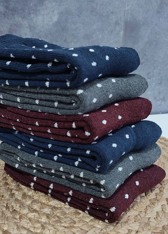 Комбинированные носки женские махровые 6 пар житомир ws 320/6 р.36-40 XTeam горошки (352777528)