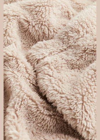 Штани піжамні плюшеві H&M (278819541)