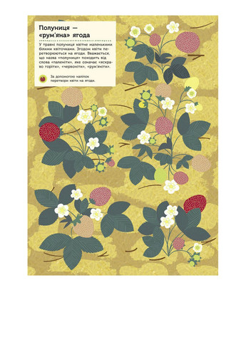 Моя книга природы: На огороде цвет разноцветный CB-00240825 РАНОК (314888979)