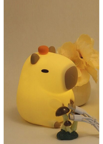 Нічник колір різнокольоровий CB-00287701 No Brand (367017711)