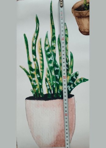 Інтер'єрні наклейки Хатні вазони Potted plants (лист 60 х 90 см) Б169 VANSHE (302242669)