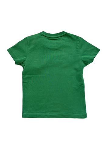 Зеленая летняя футболка для парня stg202 belive зеленая 24 98см Street Gang