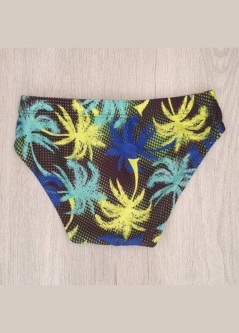 Купальні труси для хлопчиків No Brand (308862285)