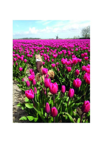 Игрушка для собак Гриф Густав ткань и плюш 28 см Trixie (336022456)