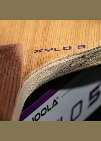 Основа для ракетки XYLO 5 FL (65080) Joola (346534060)