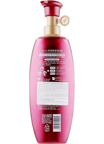 Шампунь для пошкодженого і тьмяного волосся ReEn Jayun Hair Shine Shampoo 500ml (310941-24614566) LG Household & Health Care (368739737)