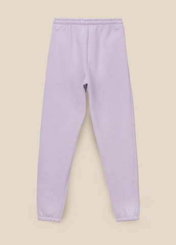 Спортивные штаны джоггеры однотонные женские WBC02322 Лавандовый shop (2000990291981) LAWA джогери (329097891)