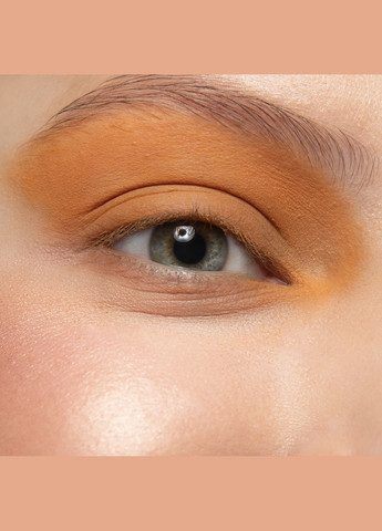 Тіні Basic 116 - Какао, 2г PROVG (302227816)