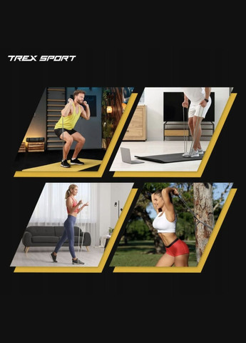 Набір резинок для фітнесу TX-004PB 4в1 2-41кг TREX Sport (311949272)