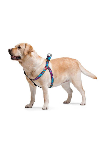 Шлея для собак анатомічна Nylon Літо пластиковий фастекс Ш 25 мм Дл 60-90 см WAUDOG (292175055)