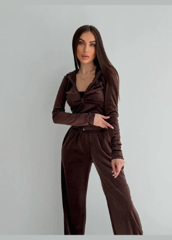 Женский велюровый костюм Україна (332979808)