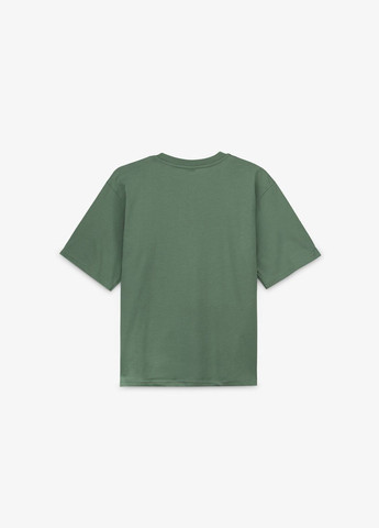 Оливкова літня футболка з принтом для хлопчика 2526 140 см shop (2000990888921) DENIZ