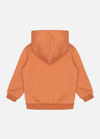 Толстовка для дівчинки колір теракотовий CB-00228782 Pengim (316136577)