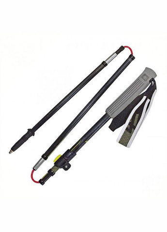 Трекінгові палиці Masters (335405338)