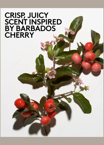 Скраб для тіла Cherry Dub Triple Action AHA Body Scrub | FENTY SKIN BY RIHANNA Fenty Beauty (315151432)