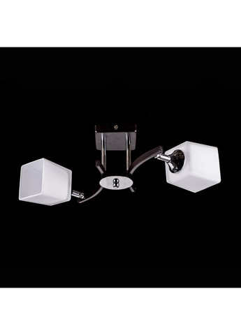 Потолочная люстра на 2 лампочки N3324/2 No Brand (352229760)