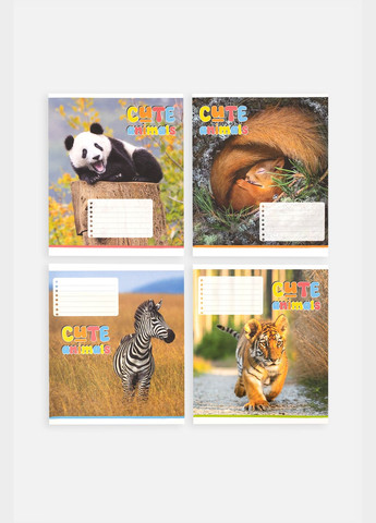 Тетрадь в косую линию 12 листов цвет разноцветный ЦБ-00255155 Фабрика Поліграфіст (307362651)