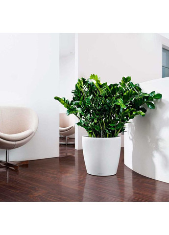 Кашпо Classico Color 35 Білий (13210) Lechuza (323097705)