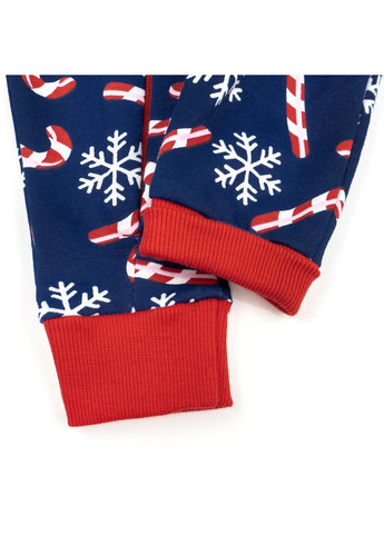 Комбинезон для новорожденных на молнии candy двунитка с начесом Dexter`s dexter's (369842310)