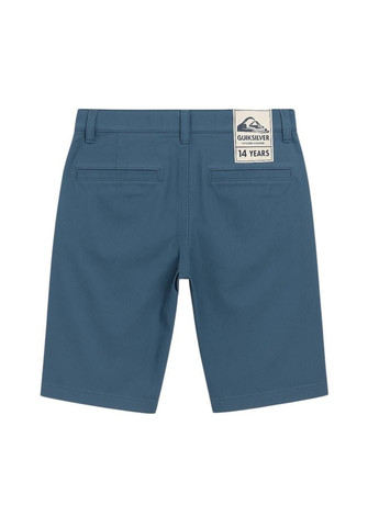 Шорти Блакитний Quiksilver (358067953)