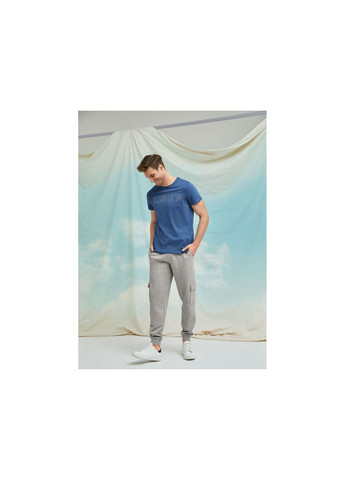 Спортивні штани джоггери з начосом для чоловіка 395492 сірий Livergy (279525453)