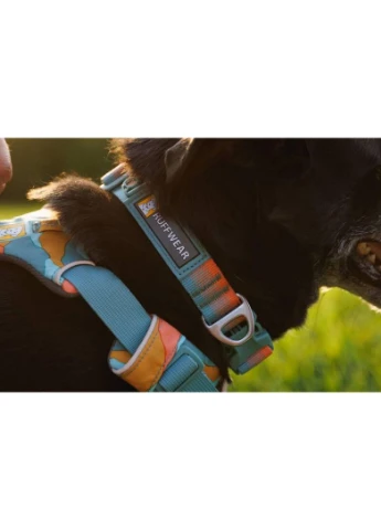 Шлейка для собак Front Range 33-43 см Бирюзово-оранжевый LP Ruffwear (393977787)