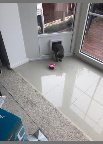 SureFlap Микрочипная умная дверца для кошек с контролем доступа защита от чужих животных DualScan RFID-метки No Brand (349729357)