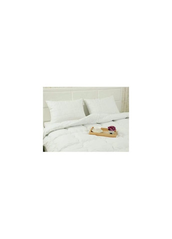 Одеяло силиконовое с ионами серебра Warm Silver 200х220 (322.52_Warm Silver) Руно (314713802)