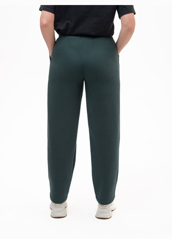 Спортивні штани Fabio Monti (334302470)