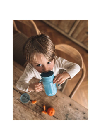 Поильник-непроливайка 360°, голубой, 340 мл () Beaba 913572 (337308649)