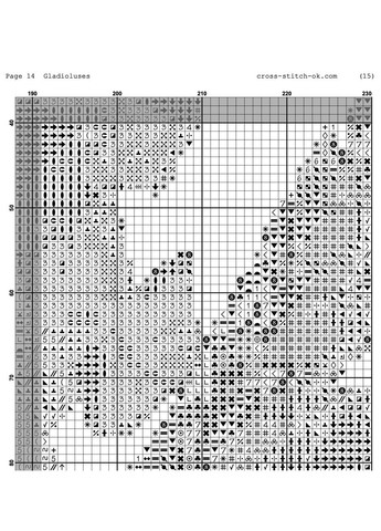 Гладиолусы_1 Joy Sunday (314923143)