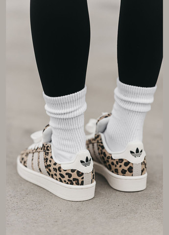 Кроссовки женские Adidas Campus 00s Leopard beige | Адидас Кампус бежевые No Brand бежевые всесезоны (315018959)