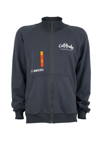 Костюм спортивний чоловічий Макс тринитка футер сірий грі, з принтом Catitude (DTG) роз. 2XL 4PROFI (316090843)