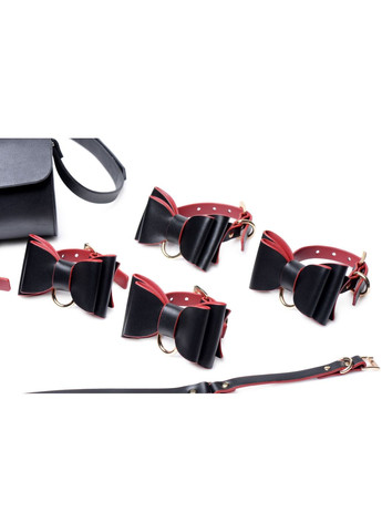 Набір БДСМ з дорожньою сумкою : Bow — Luxury BDSM Set With Travel Bag, 11 предметів Master Series (369946022)
