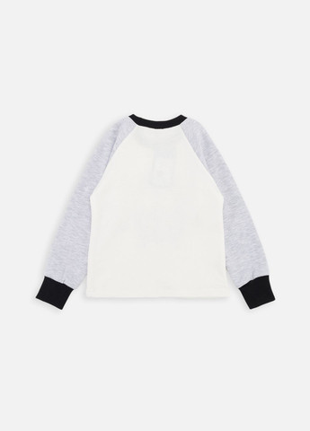 Серая зимняя пижама для мальчика цвет серый цб-00262104 Dexters