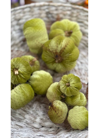 Набор (3 шт) декоративных тыкв в сетке D9*7см, цвет - салатовый Home Decor (356103923)