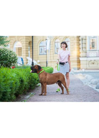 Поводок для собак водостойкий Waterproof, S, Ш 15 мм, Длин 183 см салатовый WAUDOG (322641561)