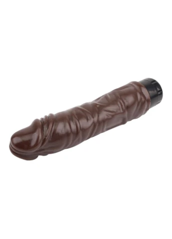 Коричневый мультискоростной вибратор Rude Vibrating Him Chisa (381049214)
