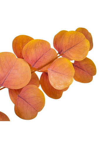 Искусственная ветвь "Эвкалипт", оранжевая, 82 см ELISEY (322248803)