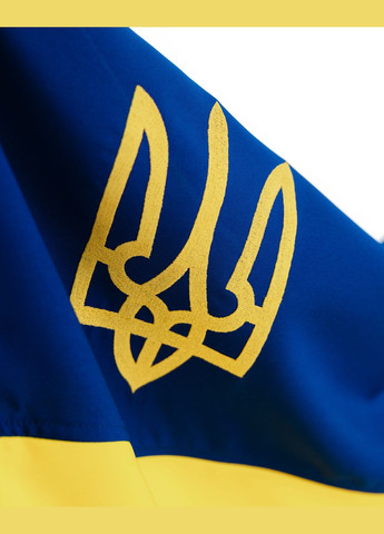 Флаг Украины с трезубцем 60 см * 90 см, габардин No Brand (334001048)