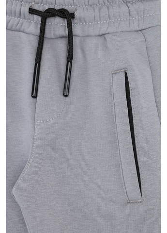 Серые зимние брюки Yuki