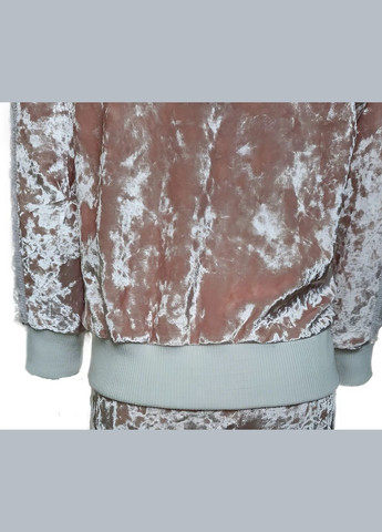 Спортивний велюровий костюм на блискавці для дівчинки 0012 бежевий 104 Joiks (323222968)