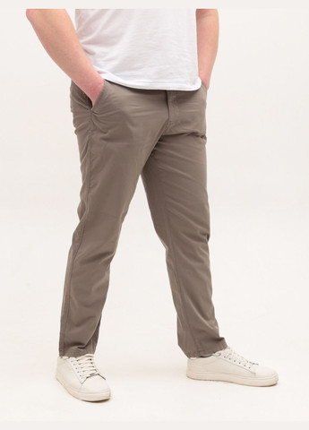 Бежевые повседневный летние прямые брюки Wise