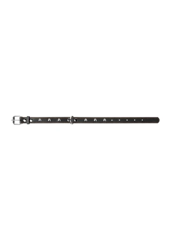 Ошейник одинарный с украшениями (ширина 25мм, длина 38-50см) черный Collar (362583602)