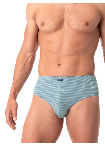 Мужские трусы слип Key (316353459)