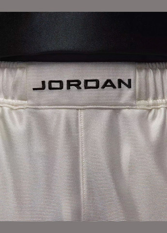 Шорты мужские Brooklyn Cat Scratch HV0560-133 белые Jordan (335425037)