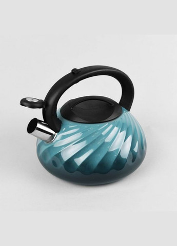 Чайник из нержавеющей стали 3 л MR-1321 BLUE Maestro (317203604)