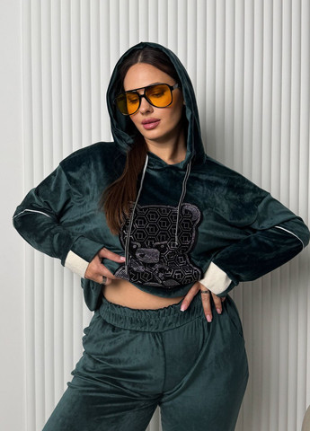 Велюровый костюм No Brand (317638816)